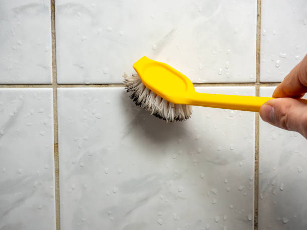 Best Basement Mold Remediation in Madison, FL