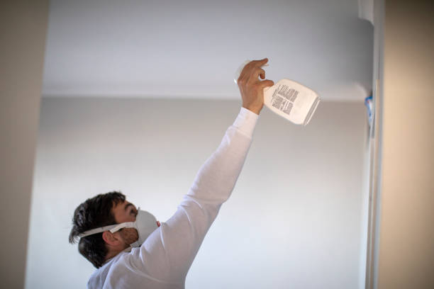Best Bathroom Mold Remediation in Madison, FL